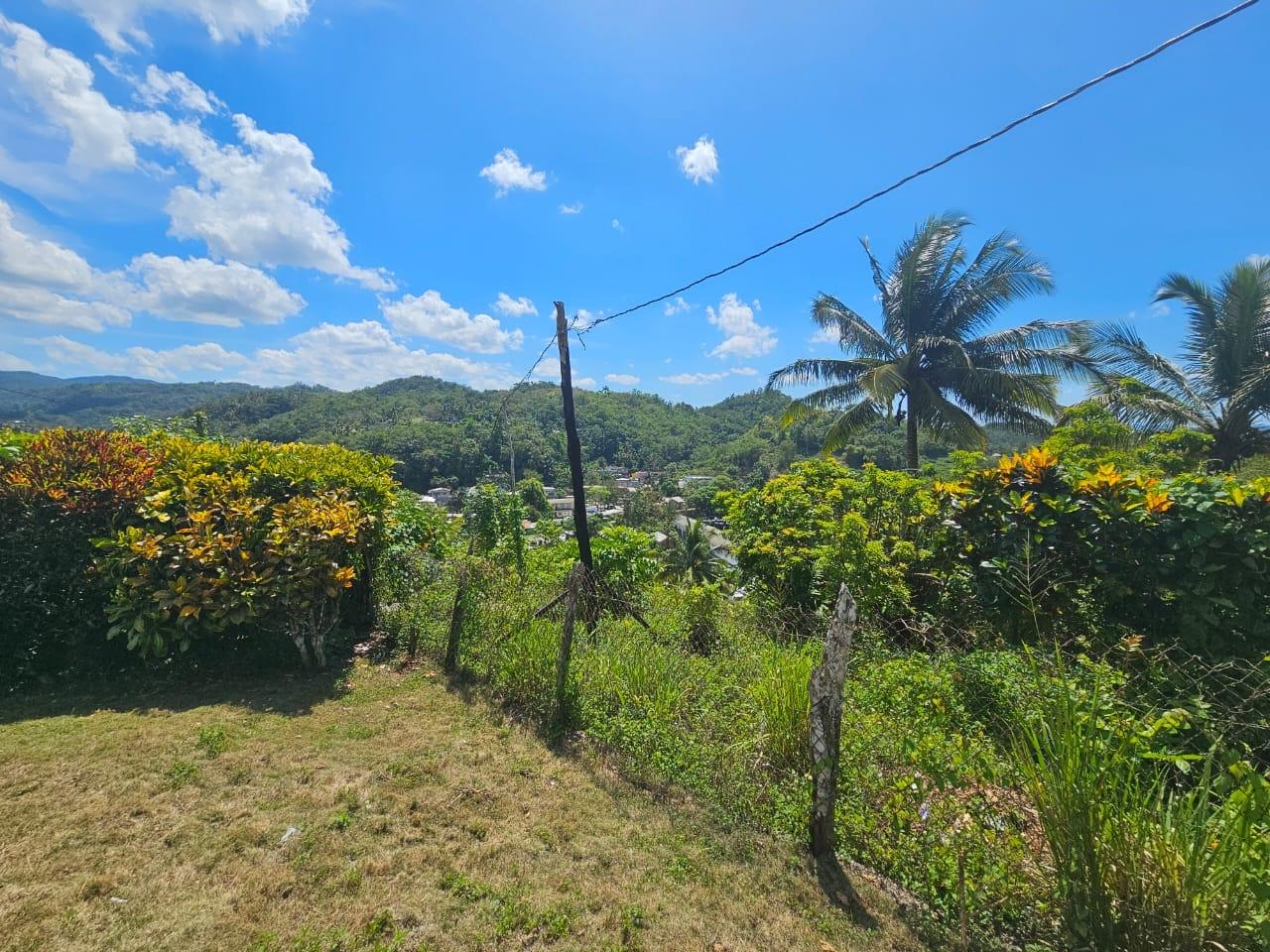 Ninth image of Lot 2 & 3-anchovy St. James in Anchovy, St. James, Jamaica - property is For Sale
