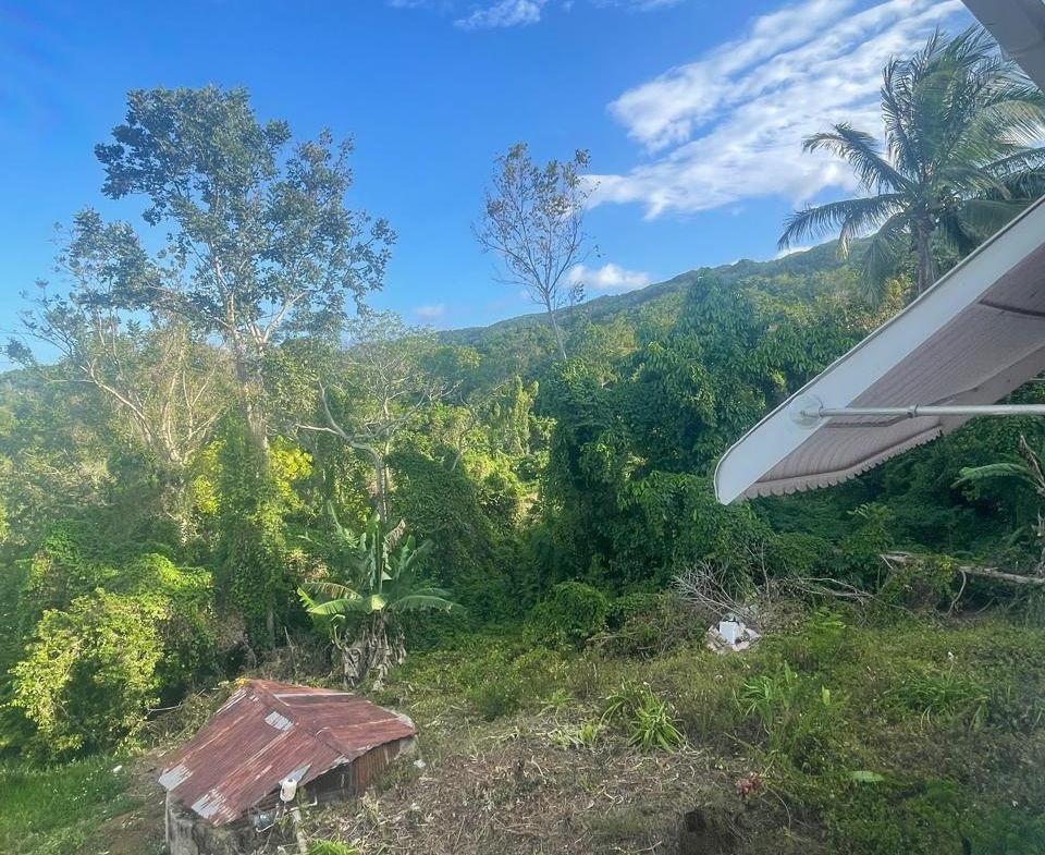 Twenty-Ninth image of Part of Burnt Ground in Burnt Ground, St. Elizabeth, Jamaica - property is For Sale