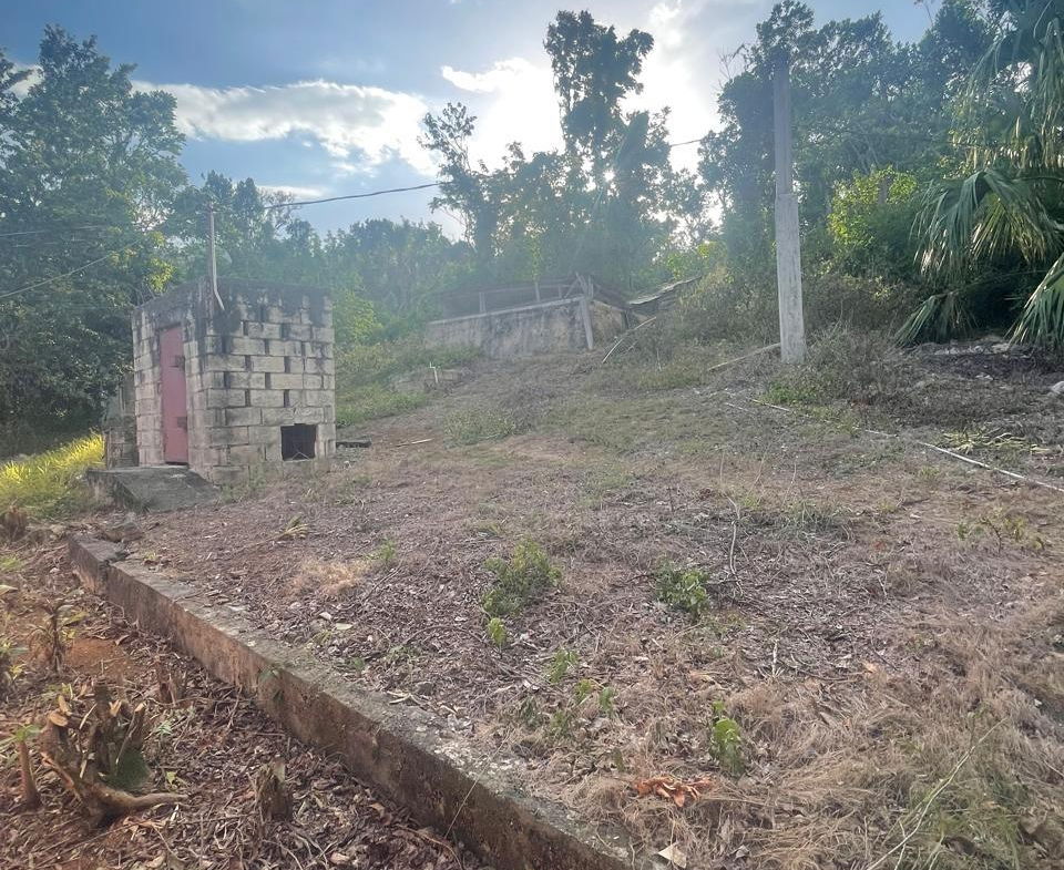 Thirtieth image of Part of Burnt Ground in Burnt Ground, St. Elizabeth, Jamaica - property is For Sale