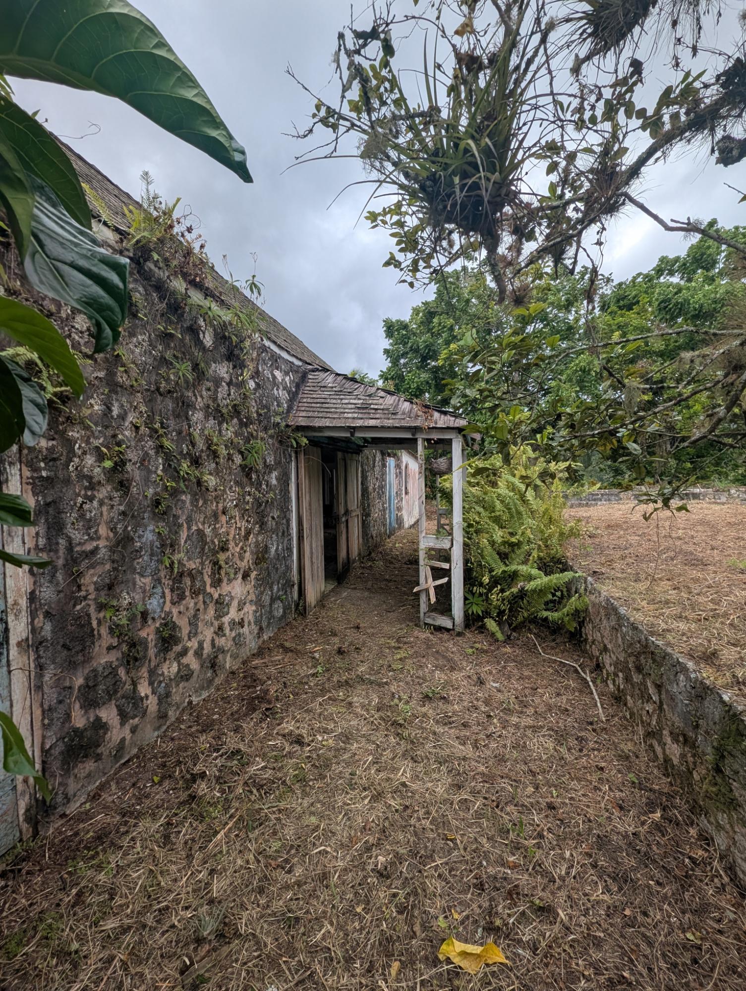 Sixth image of 1- Moneague in Moneague, St. Ann, Jamaica - property is For Sale