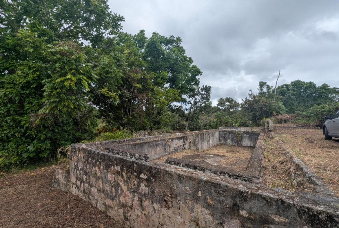 Ninth image of 1- Moneague in Moneague, St. Ann, Jamaica - property is For Sale