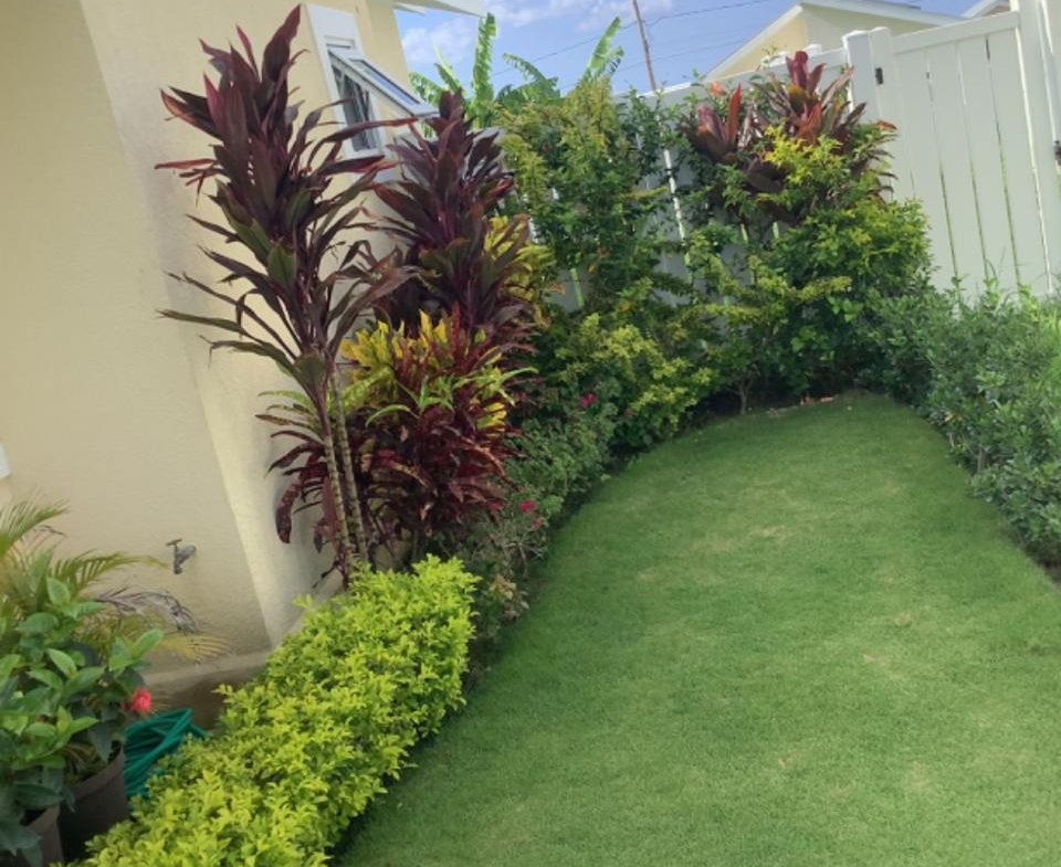 Fourth image of Lot-356 Oceanpointe in Lucea, Hanover, Jamaica - property is For Rent
