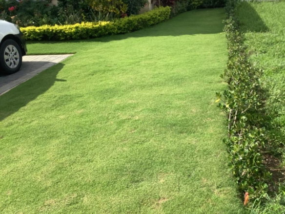 First image of Lot-356 Oceanpointe in Lucea, Hanover, Jamaica - property is For Rent