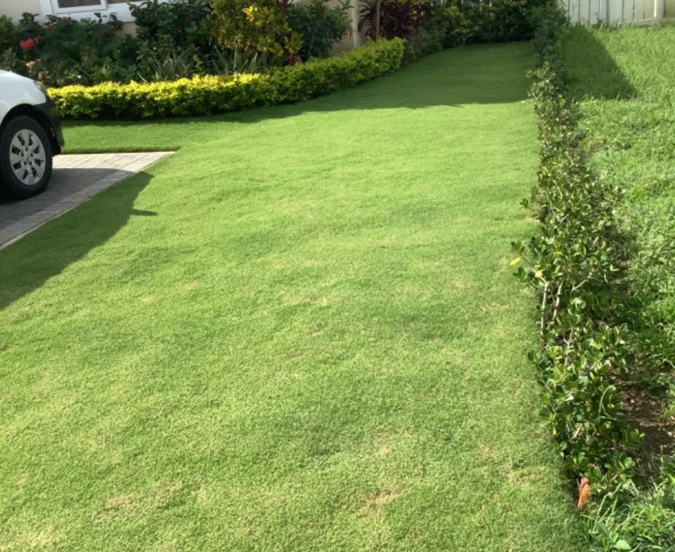 First image of Lot-356 Oceanpointe in Lucea, Hanover, Jamaica - property is For Rent