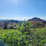 First image of 3g- Avondale Heights in Cedar Grove, Manchester, Jamaica - property is For Sale