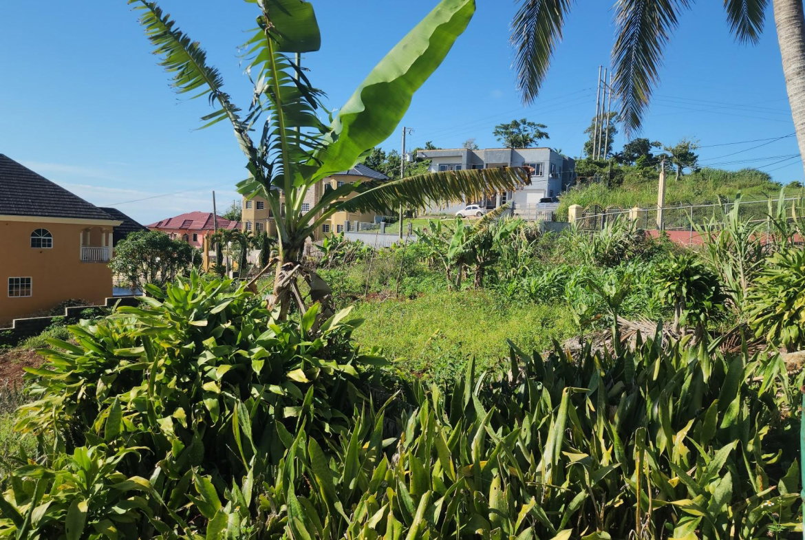 Third image of 3g- Avondale Heights in Cedar Grove, Manchester, Jamaica - property is For Sale
