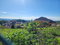 First image of 3g- Avondale Heights in Cedar Grove, Manchester, Jamaica - property is For Sale