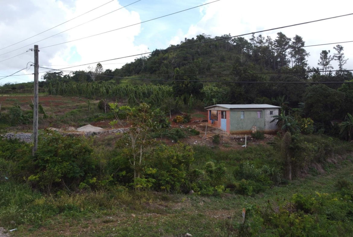 Second image of Denham Farm, Christiana in Christiana, Manchester, Jamaica - property is For Sale