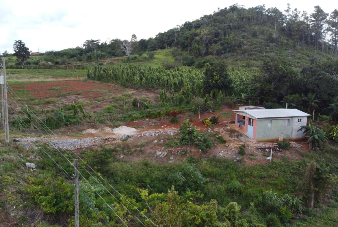 Third image of Denham Farm, Christiana in Christiana, Manchester, Jamaica - property is For Sale