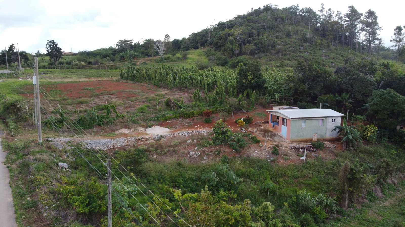 Third image of Denham Farm, Christiana in Christiana, Manchester, Jamaica - property is For Sale