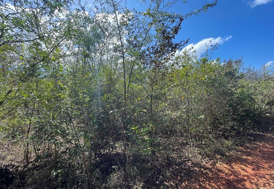 Twelfth image of Lot 67 Spring Garden, Bushy Park in Spring Garden, St. Catherine, Jamaica - property is For Sale