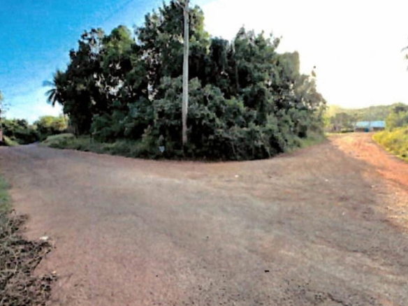 First image of Lot 67 Spring Garden, Bushy Park in Spring Garden, St. Catherine, Jamaica - property is For Sale