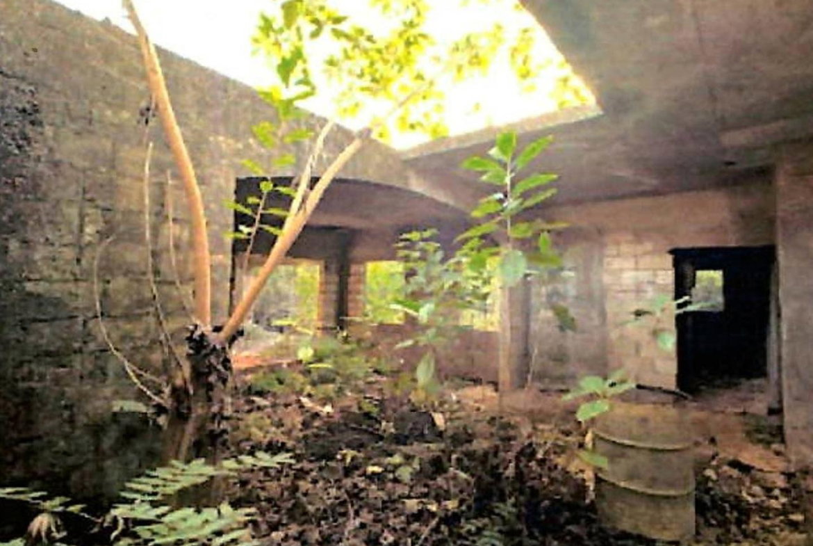Seventh image of Lot 67 Spring Garden, Bushy Park in Spring Garden, St. Catherine, Jamaica - property is For Sale