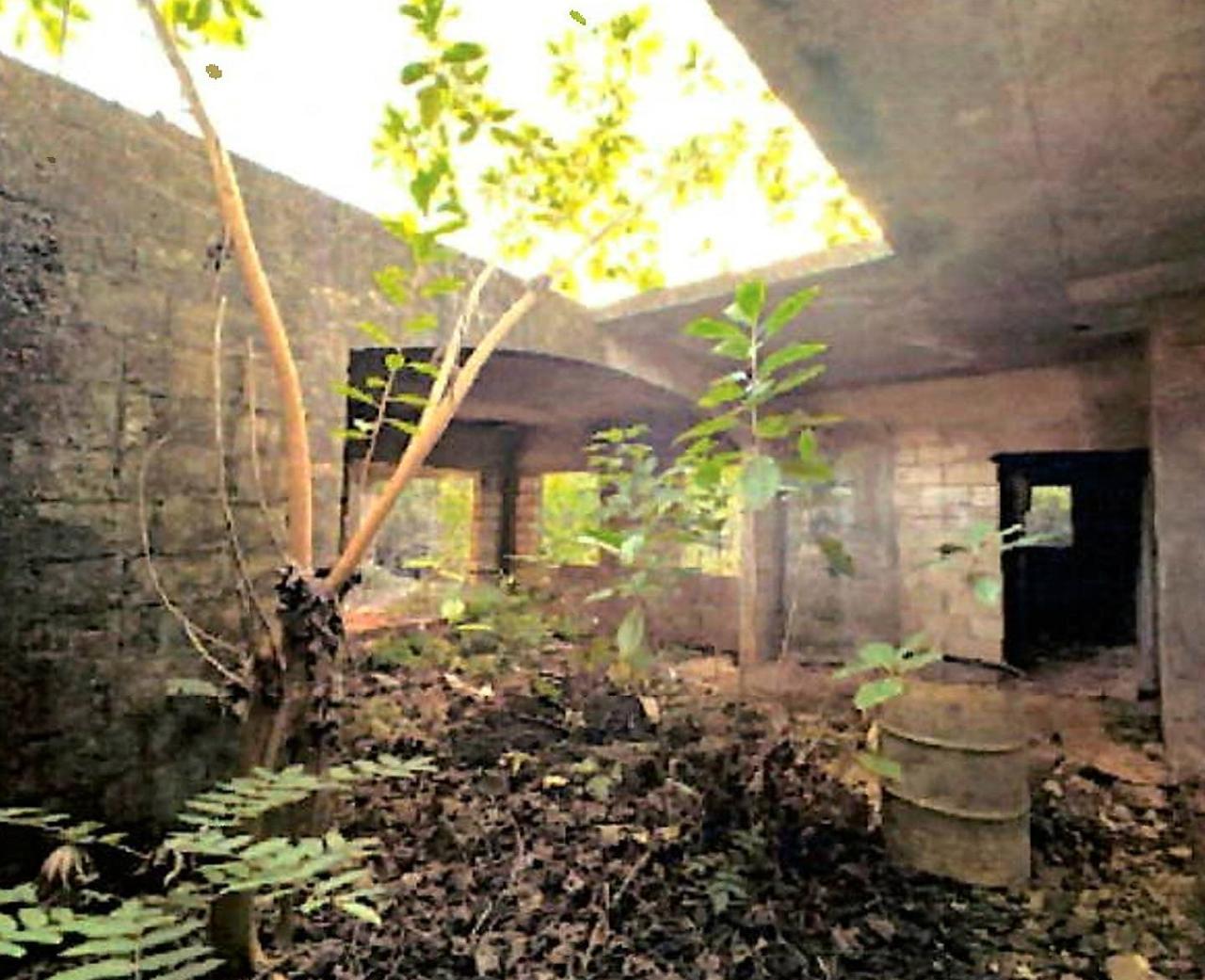 Seventh image of Lot 67 Spring Garden, Bushy Park in Spring Garden, St. Catherine, Jamaica - property is For Sale