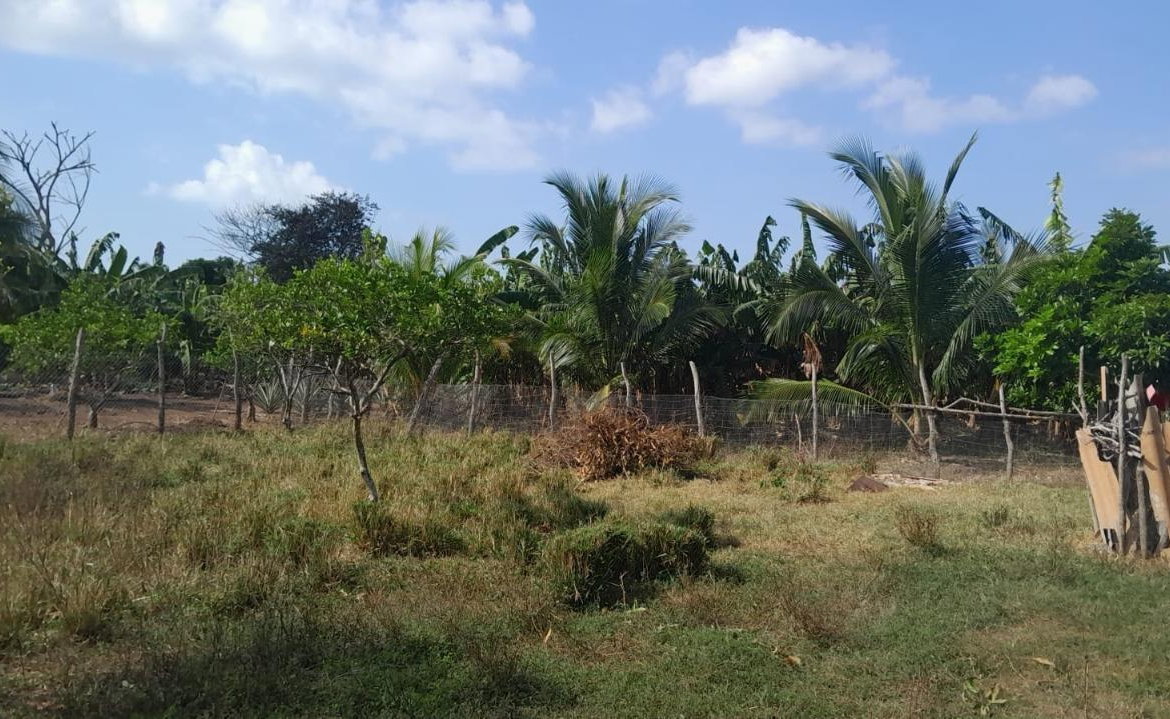 Twenty-Fifth image of Vineyards Estate in Old Harbour, St. Catherine, Jamaica - property is For Sale