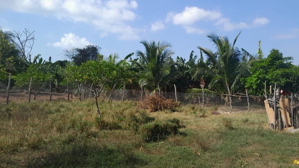 Twenty-Fifth image of Vineyards Estate in Old Harbour, St. Catherine, Jamaica - property is For Sale