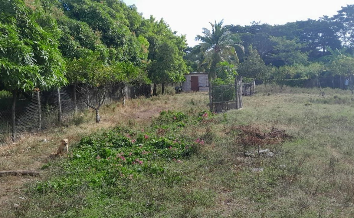 Twenty-Seventh image of Vineyards Estate in Old Harbour, St. Catherine, Jamaica - property is For Sale