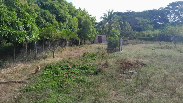 Twenty-Seventh image of Vineyards Estate in Old Harbour, St. Catherine, Jamaica - property is For Sale