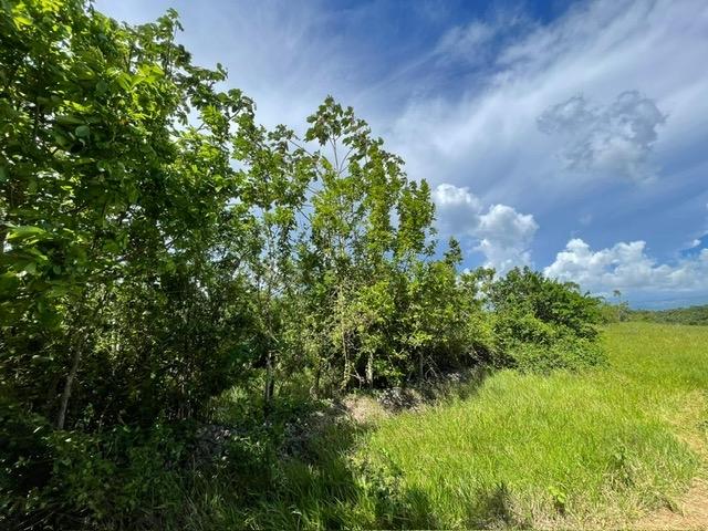 Second image of Part of Upper Warminster in Upper Warminister, St. Elizabeth, Jamaica - property is For Sale