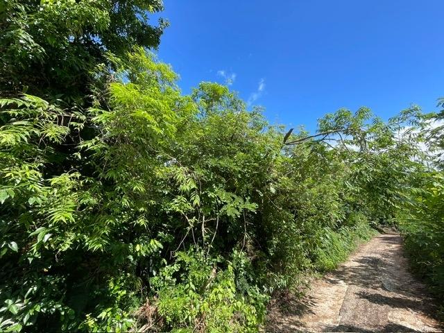 Third image of Part of Upper Warminster in Upper Warminister, St. Elizabeth, Jamaica - property is For Sale
