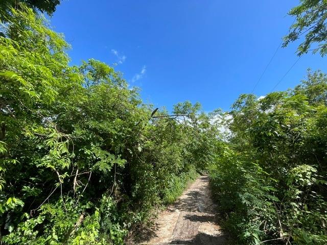 Fourth image of Part of Upper Warminster in Upper Warminister, St. Elizabeth, Jamaica - property is For Sale