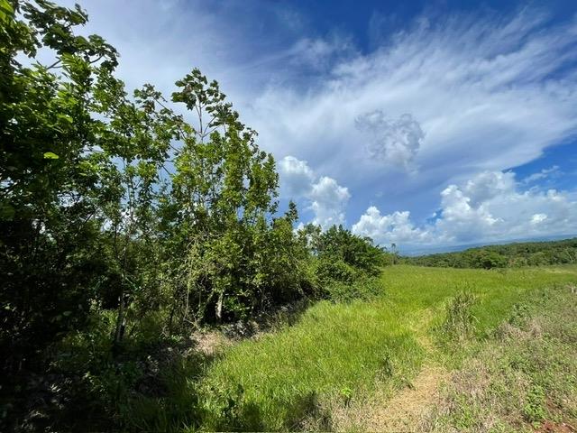 Seventh image of Part of Upper Warminster in Upper Warminister, St. Elizabeth, Jamaica - property is For Sale
