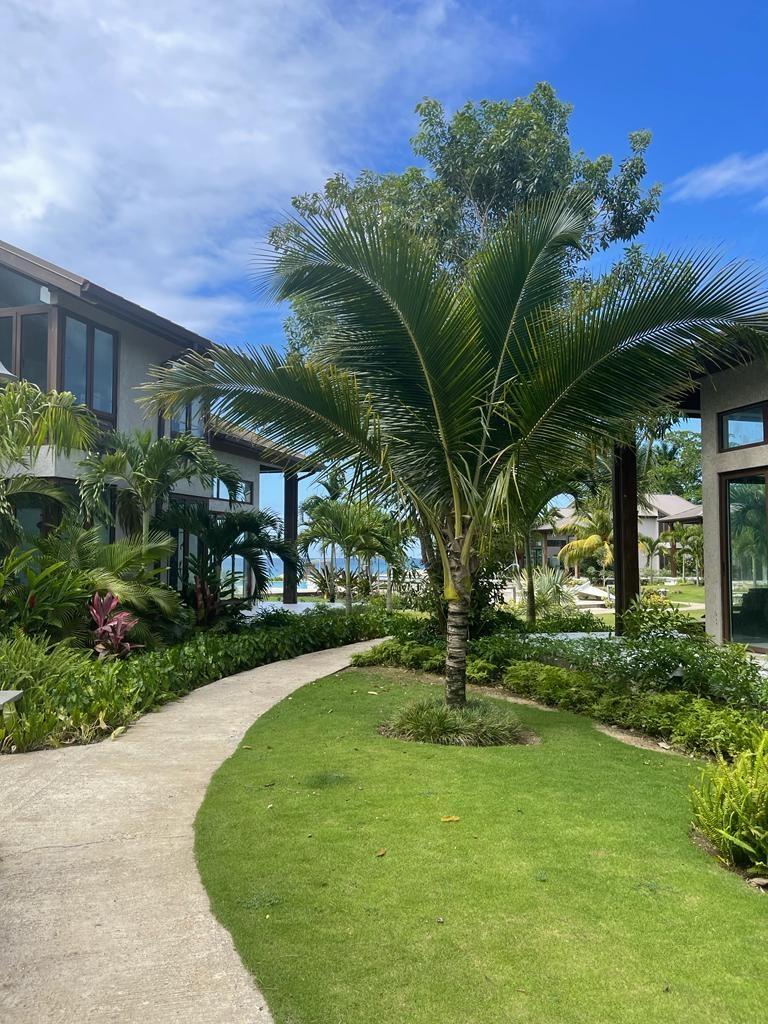 Twenty-First image of B22- Bessa, Oracabessa, St. ma in Ocho Rios, St. Ann, Jamaica - property is For Sale