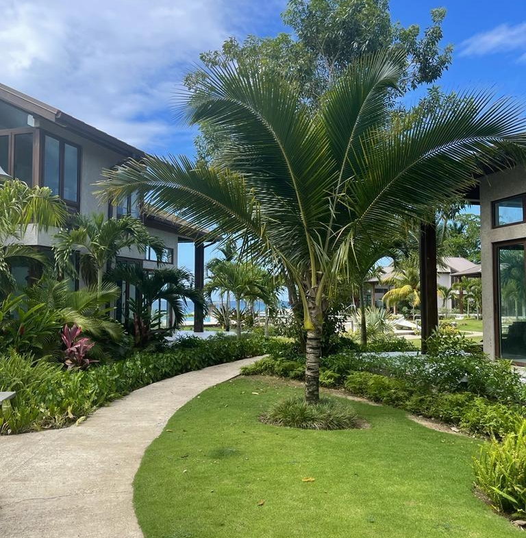 Twenty-First image of C44- Bessa, Oracabessa, St. ma in Ocho Rios, St. Ann, Jamaica - property is For Sale