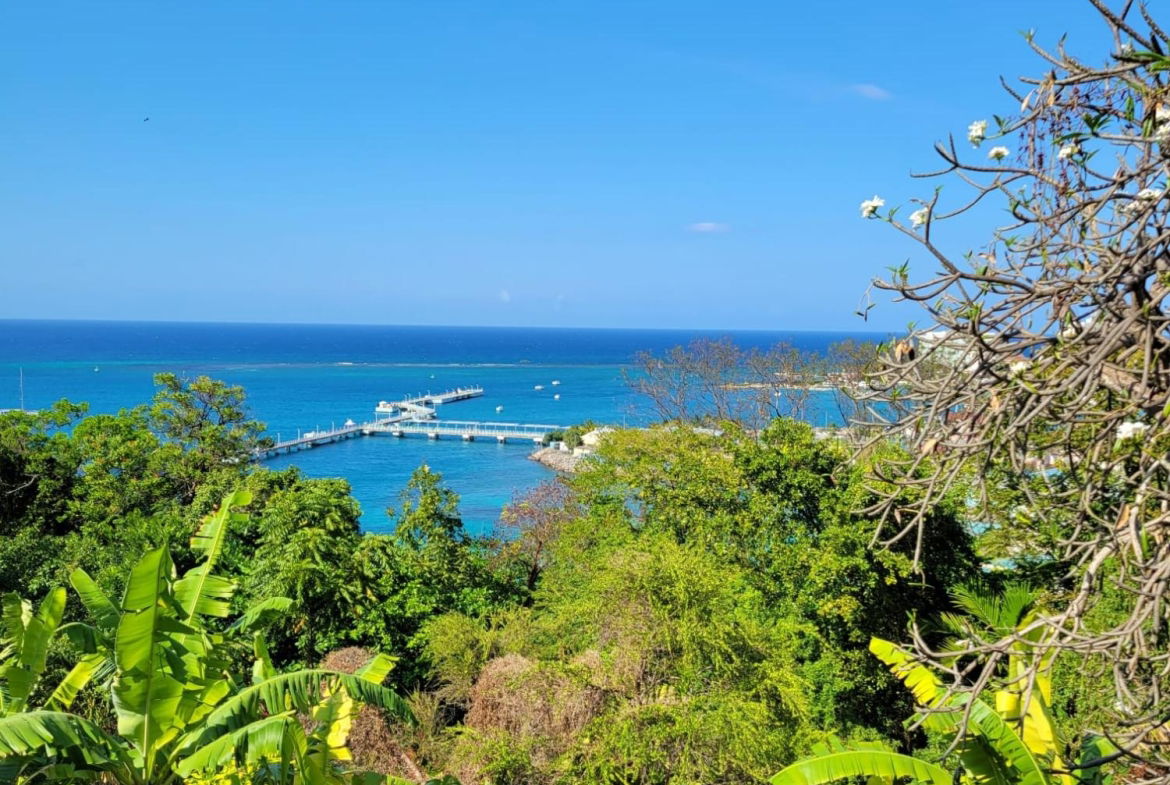 Thirteenth image of D2- Columbus Heights in Ocho Rios, St. Ann, Jamaica - property is For Sale