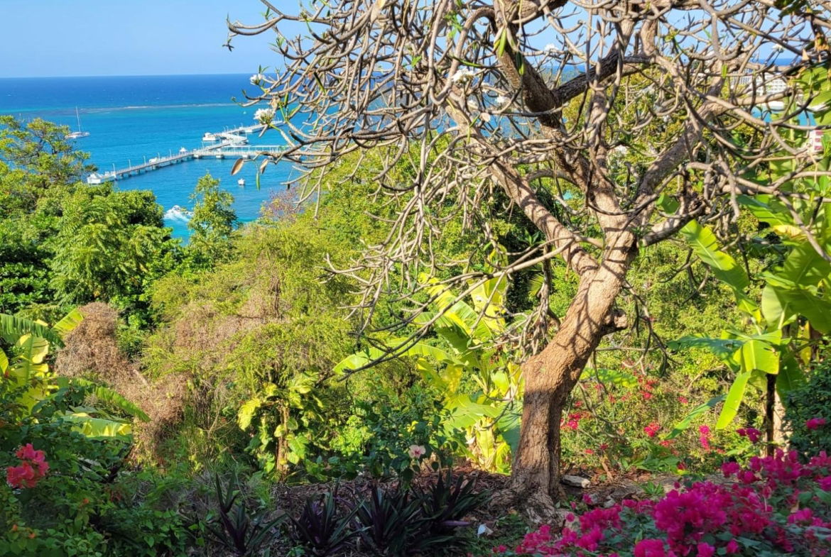 Fourteenth image of D2- Columbus Heights in Ocho Rios, St. Ann, Jamaica - property is For Sale
