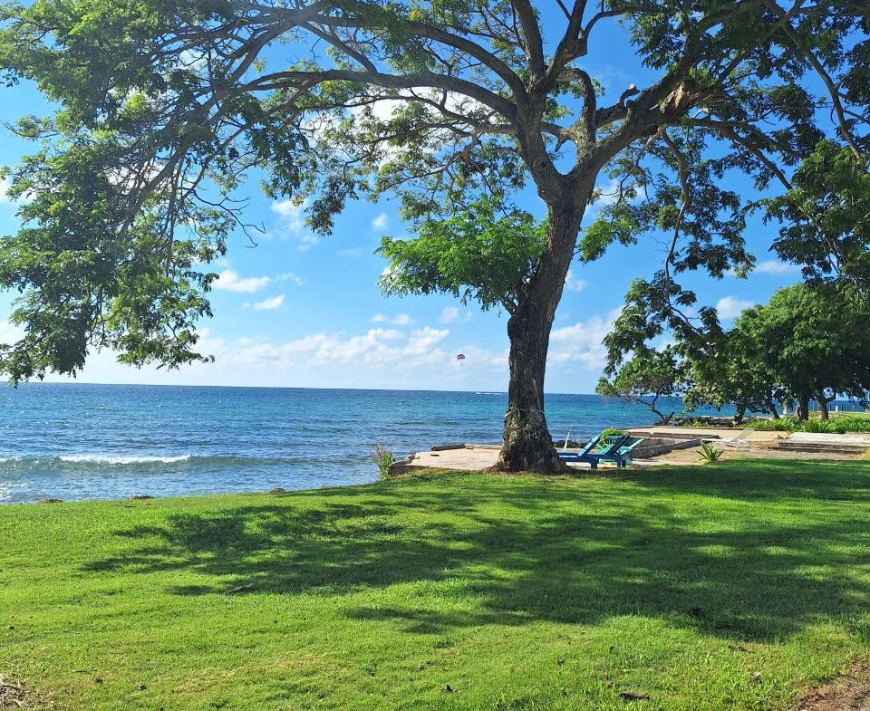 Ninth image of 61- Point-norman Manley Blvd in Point, Hanover, Jamaica - property is For Rent