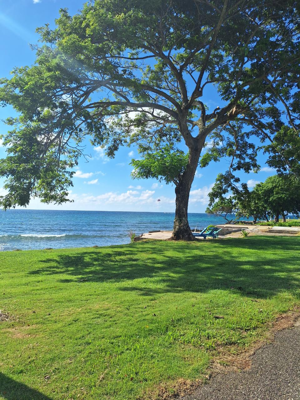 Ninth image of 61- Point-norman Manley Blvd in Point, Hanover, Jamaica - property is For Rent