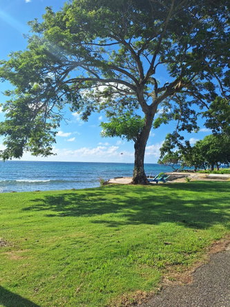 Ninth image of 61- Point-norman Manley Blvd in Point, Hanover, Jamaica - property is For Rent