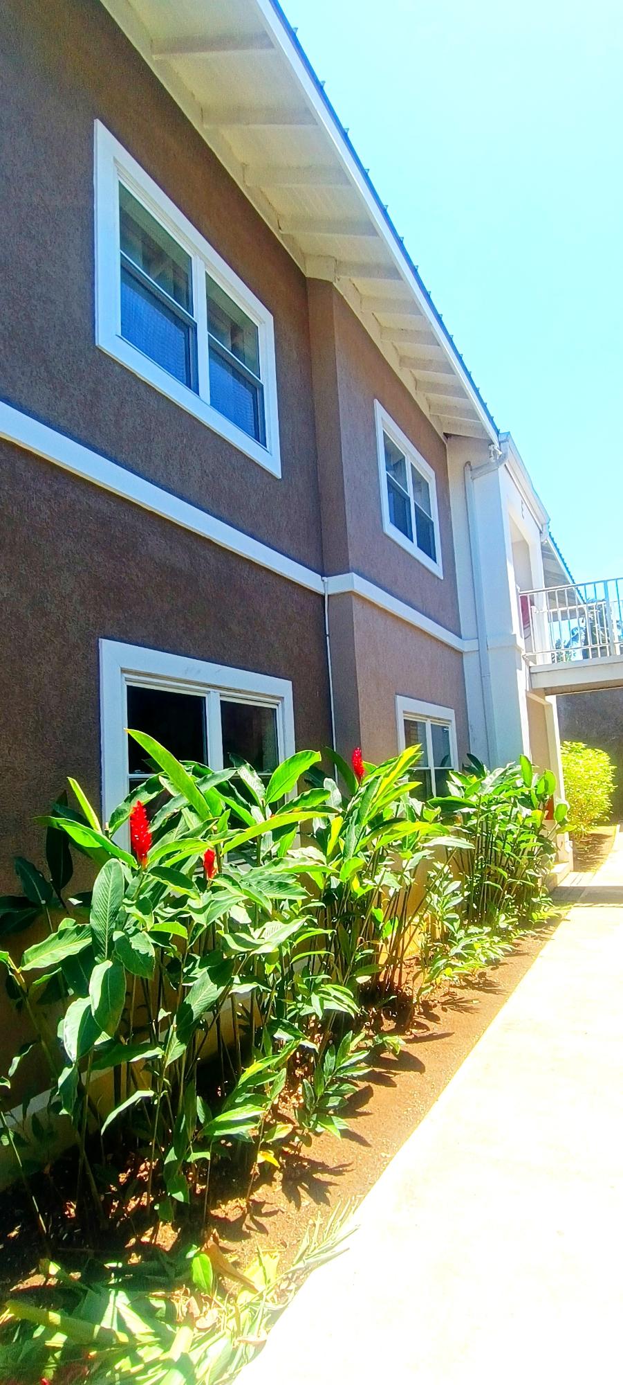 First image of E101- Tara Estates in Montego Bay, St. James, Jamaica - property is For Rent
