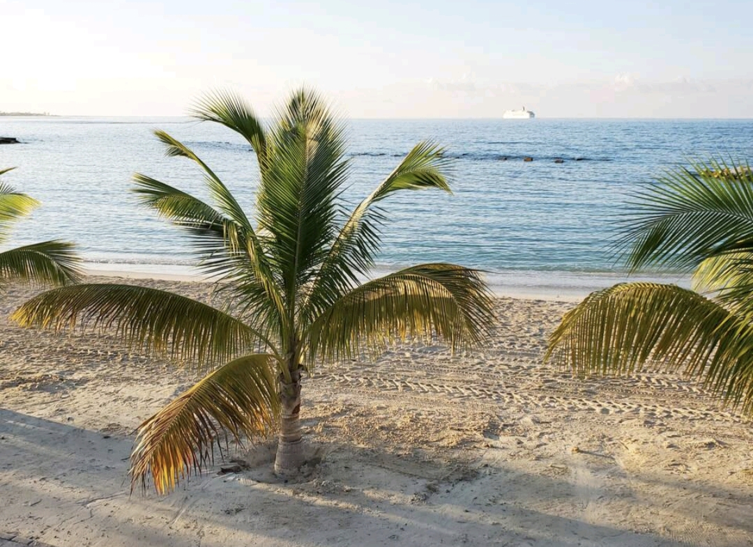 Twenty-Seventh image of 35 Villa Del Mare Avenue in Drax Hall Estate, St. Ann, Jamaica - property is For Rent