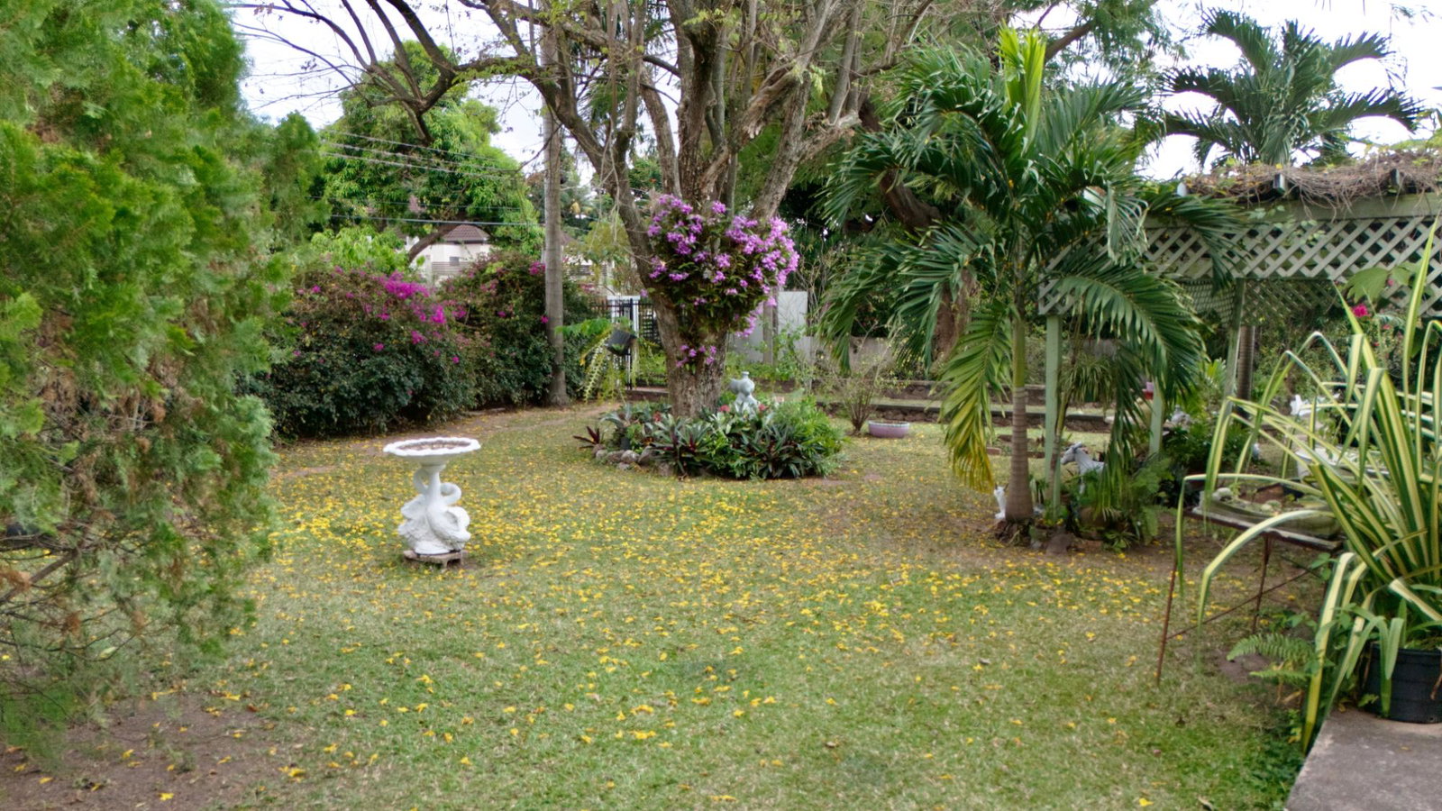 Eleventh image of 3 Shortwood Drive in Kingston 8, St. Andrew, Jamaica - property is For Sale