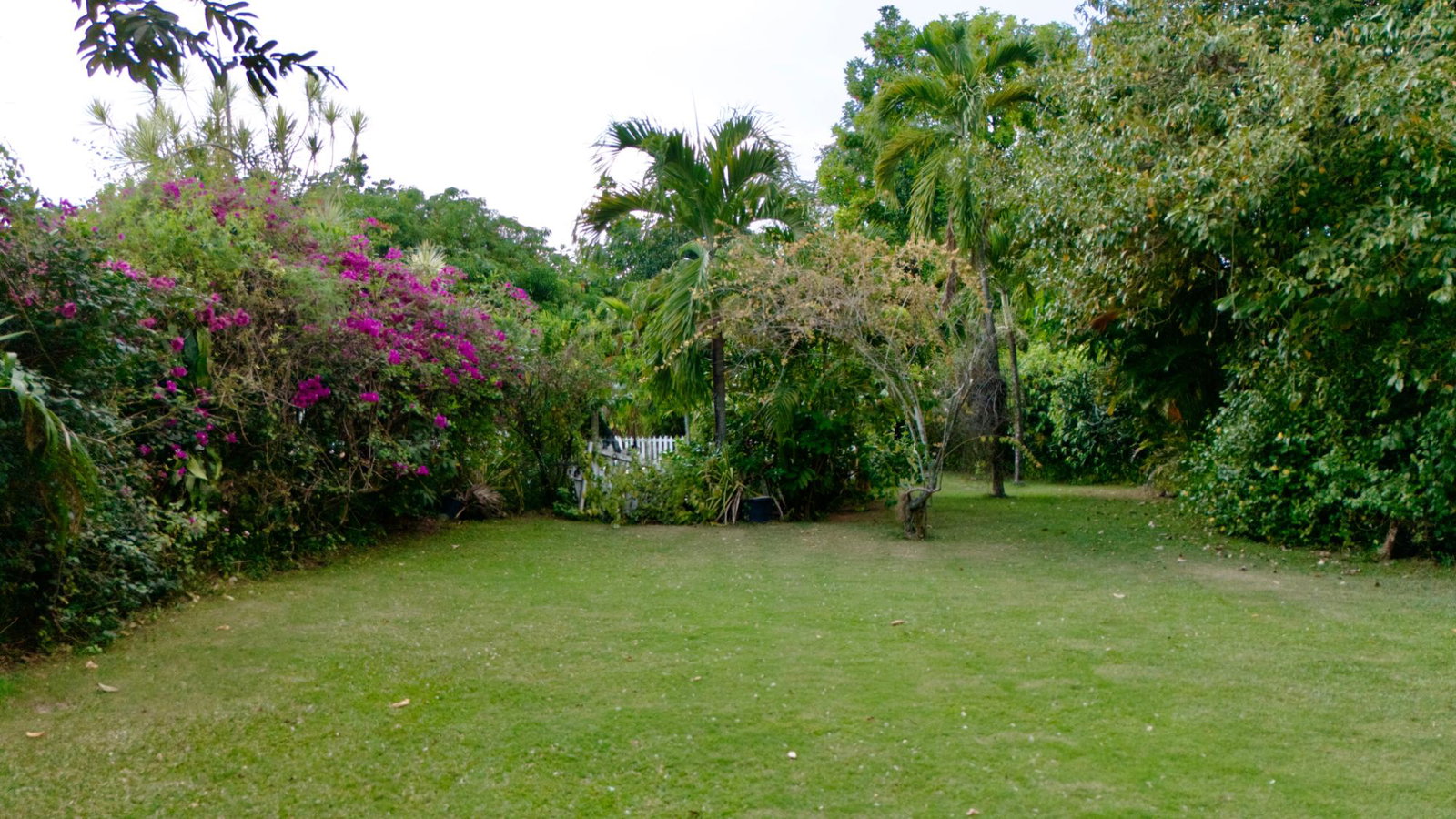 Twelfth image of 3 Shortwood Drive in Kingston 8, St. Andrew, Jamaica - property is For Sale