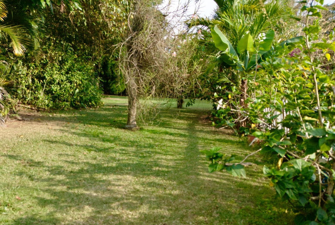 Thirteenth image of 3 Shortwood Drive in Kingston 8, St. Andrew, Jamaica - property is For Sale