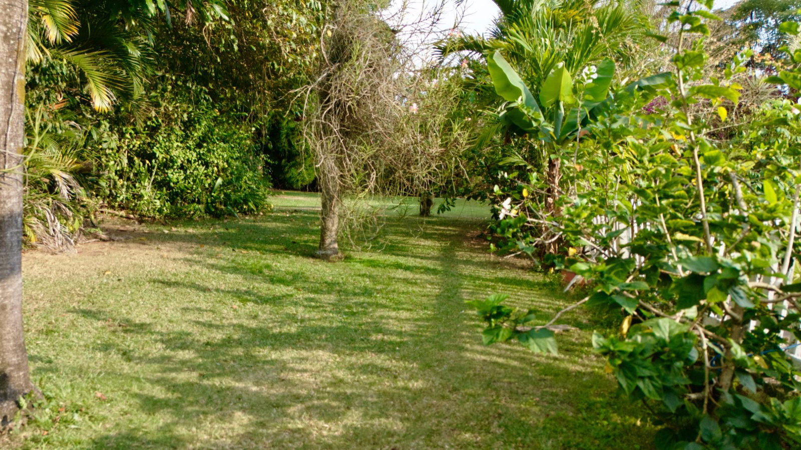 Thirteenth image of 3 Shortwood Drive in Kingston 8, St. Andrew, Jamaica - property is For Sale
