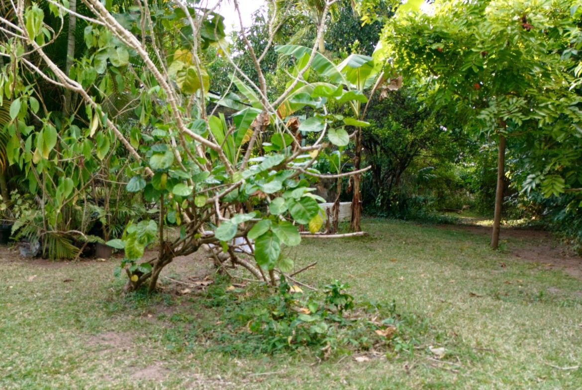 Fourteenth image of 3 Shortwood Drive in Kingston 8, St. Andrew, Jamaica - property is For Sale