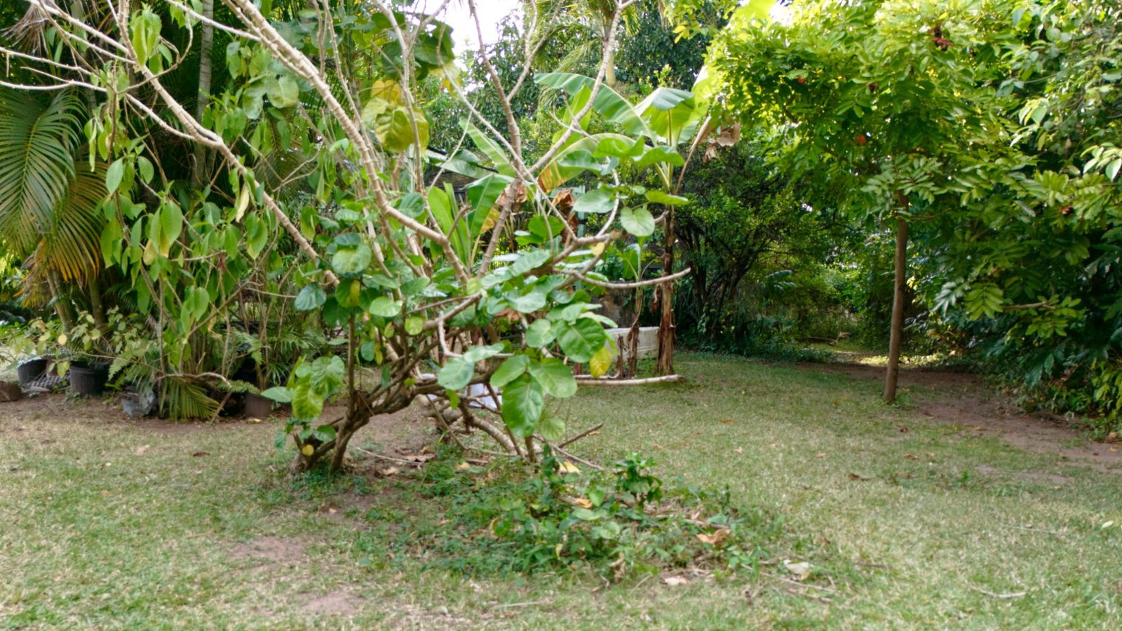 Fourteenth image of 3 Shortwood Drive in Kingston 8, St. Andrew, Jamaica - property is For Sale