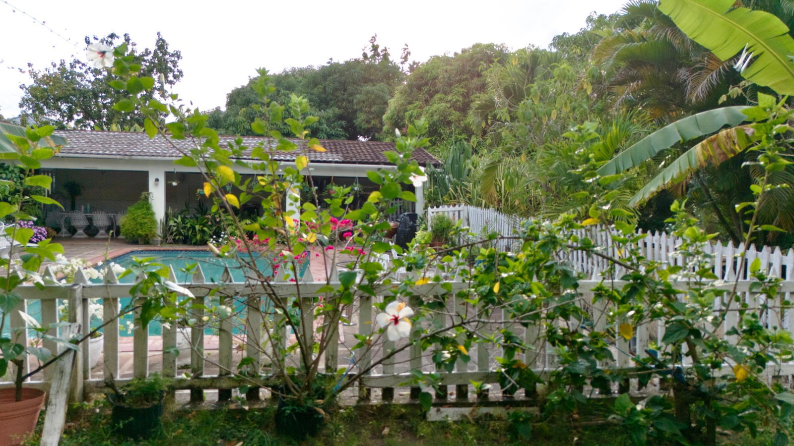 Fifteenth image of 3 Shortwood Drive in Kingston 8, St. Andrew, Jamaica - property is For Sale