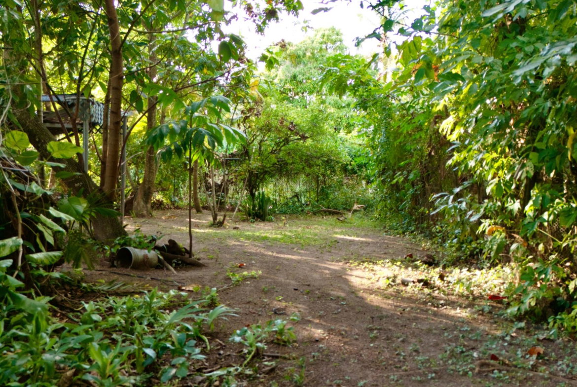 Seventeenth image of 3 Shortwood Drive in Kingston 8, St. Andrew, Jamaica - property is For Sale