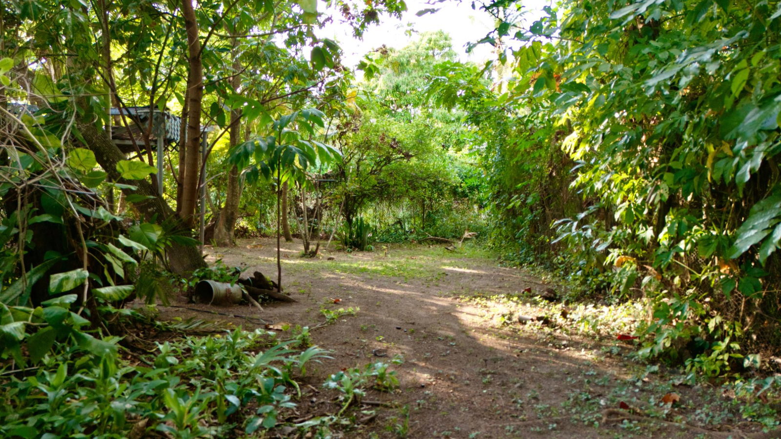 Seventeenth image of 3 Shortwood Drive in Kingston 8, St. Andrew, Jamaica - property is For Sale