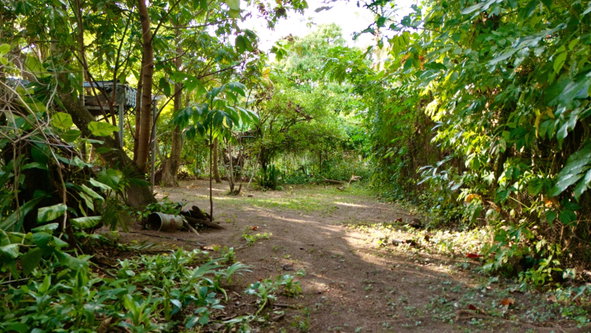 Seventeenth image of 3 Shortwood Drive in Kingston 8, St. Andrew, Jamaica - property is For Sale