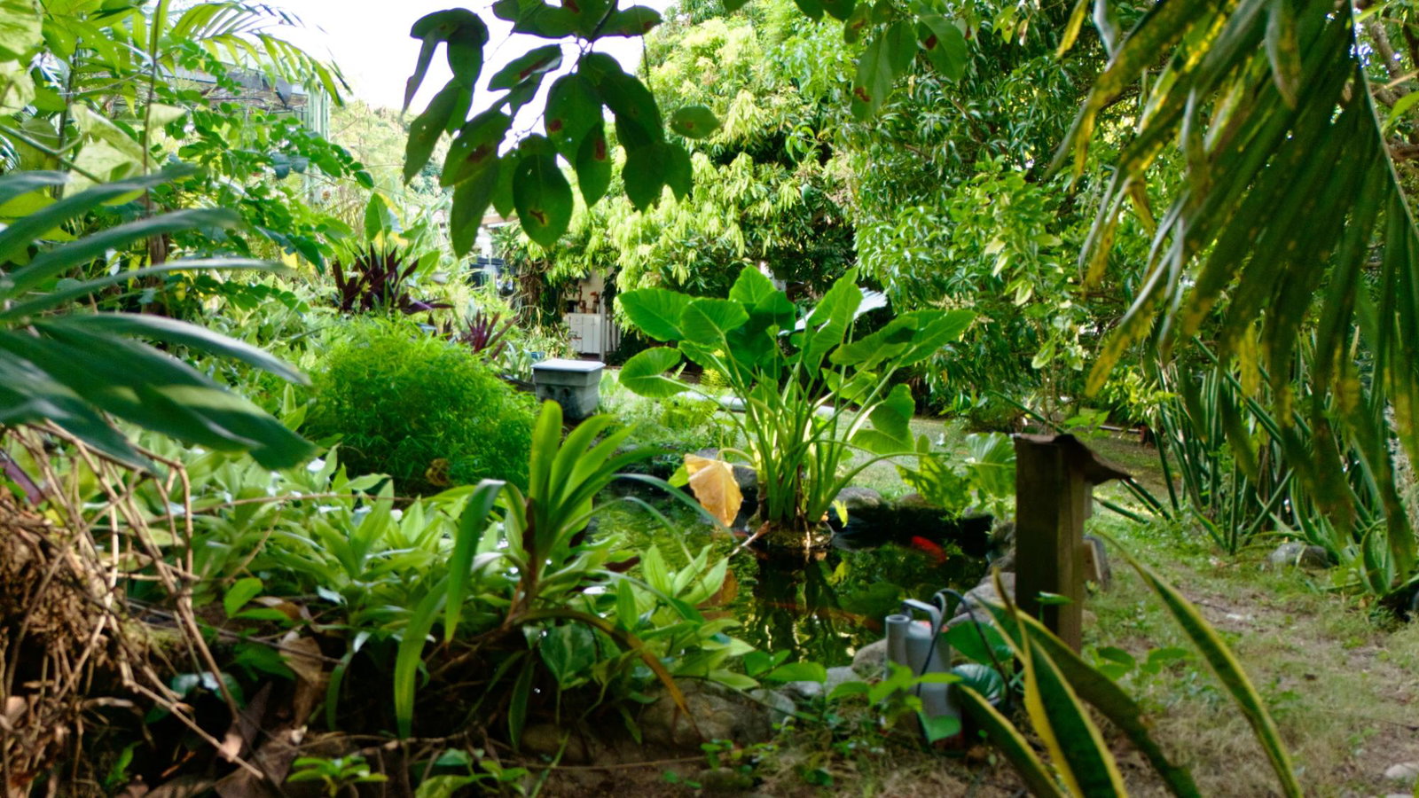 Eighteenth image of 3 Shortwood Drive in Kingston 8, St. Andrew, Jamaica - property is For Sale