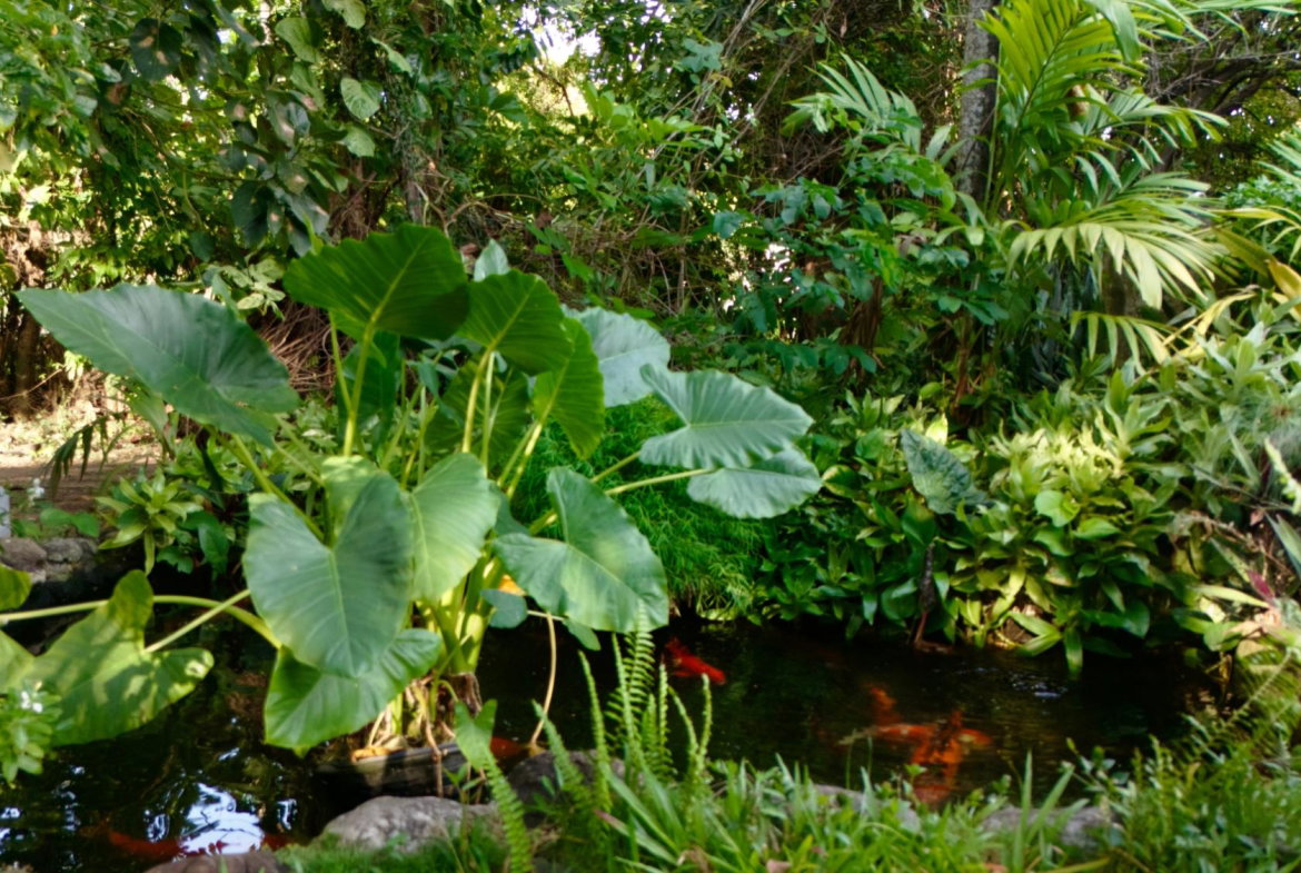 Nineteenth image of 3 Shortwood Drive in Kingston 8, St. Andrew, Jamaica - property is For Sale