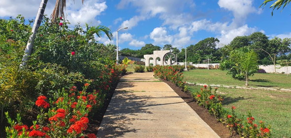 Twenty-Fifth image of 818 Seagrape Ave, Richmond in St. Ann's Bay, St. Ann, Jamaica - property is For Rent