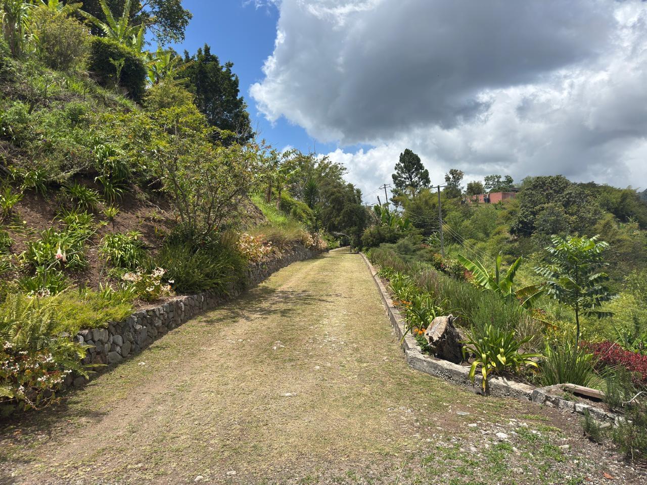 Seventeenth image of Salt Hill in Content Gap P.A., St. Andrew, Jamaica - property is For Sale