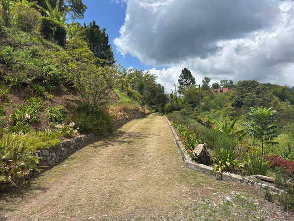 Seventeenth image of Salt Hill in Content Gap P.A., St. Andrew, Jamaica - property is For Sale